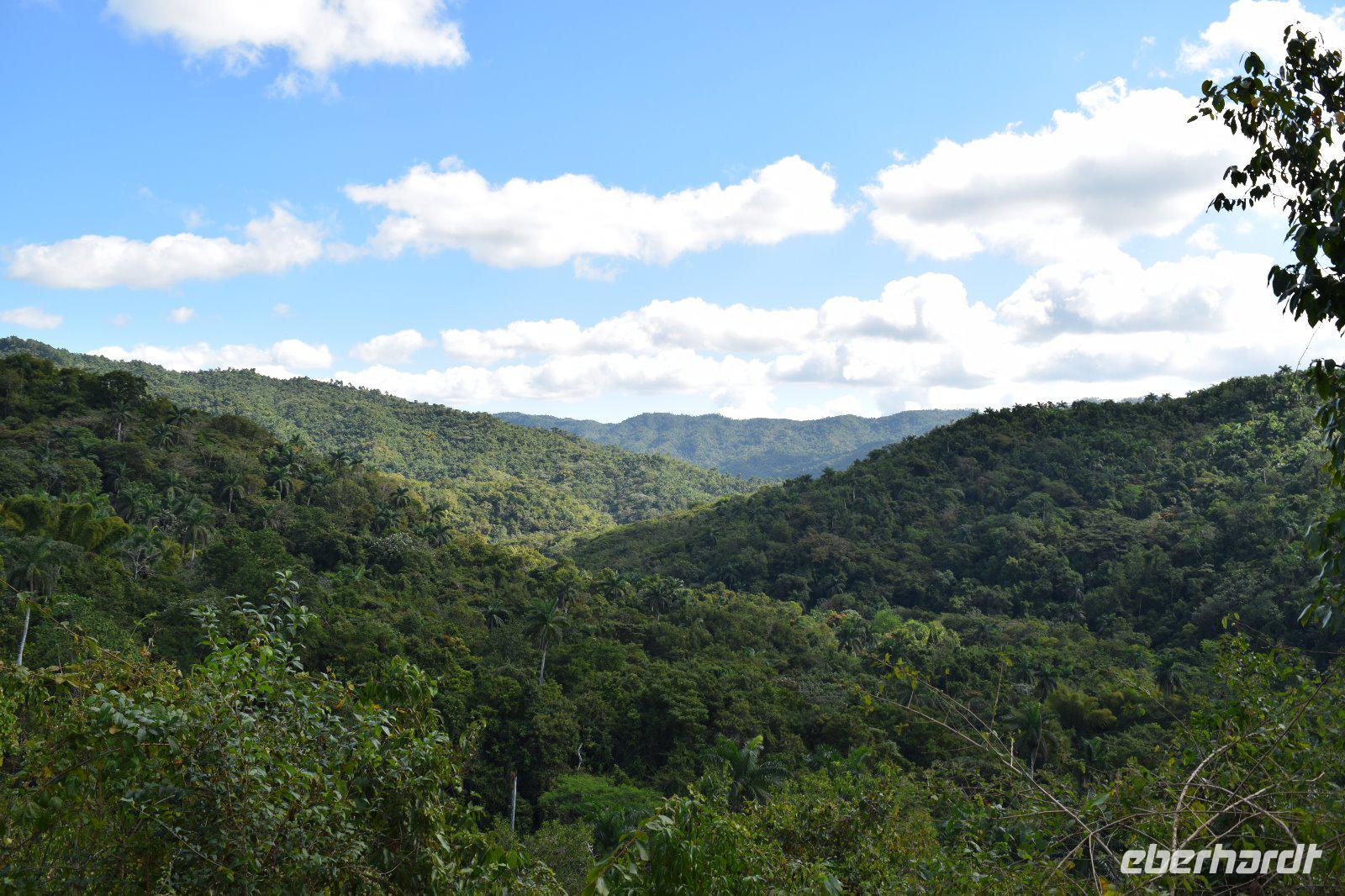 Das Guanayara-Gebirge ist dicht bewaldet
