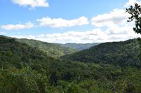 Das Guanayara-Gebirge ist dicht bewaldet