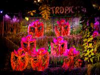 Tropicana Show Havanna