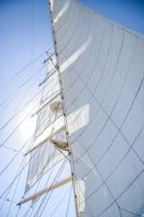 unter weißen Segeln