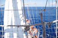 Mastklettern Star Flyer