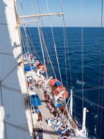 Mastklettern Star Flyer