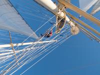 Mastklettern Star Flyer