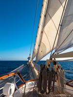 an Bord der Star Flyer