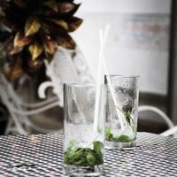 letzter Mojito in Kuba :-(