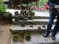 Nun können wir Körbe aus Palmblättern kaufen