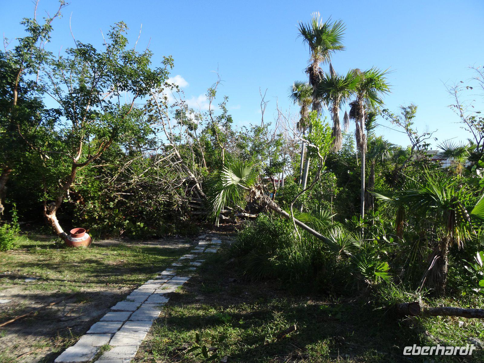 Im Strandhotel  Santa Maria sieht man an den Pflanzen die Auswirkung von Irma an