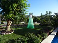 Eine haltbare Weihnachtsbaumvariante  - leere Flaschen