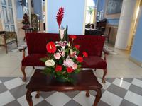 Und alle sind echt...