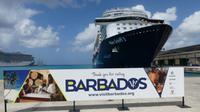 MS 3 Barbados