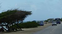 Küstenstraße Aruba