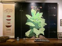 Besuch in der Zigarrenschaufabrik VegaFina