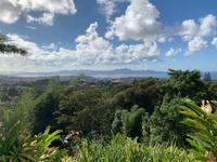 Blick über Martinique