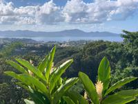 Blick auf die Mein Schiff 5 in weiter Ferne
