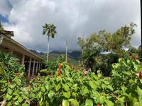 Traumhaft schöner Balata-Garten auf Martinique