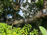 Hängebrücke im Balata-Garten