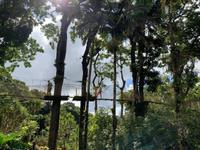 Hängebrücke im Balata-Garten