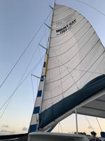 Katamaranfahrt in den Sonnenuntergang auf Barbados