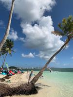 Kiteparadies Guadeloupe