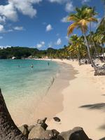 Traumstrand auf Guadeloupe