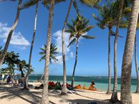 Kiteparadies Guadeloupe
