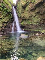 Hibiscus-Wasserfall auf Dominica