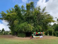 Botanischer Garten in Roseau