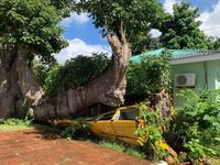 Überreste eines schlimmen Hurricans