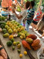 Verkostung von tropischen Früchten