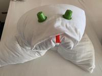 Unser neues Haustier in der Kabine