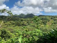 Blick ins Inselinnere auf Grenada