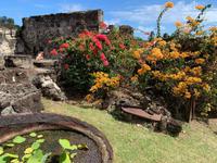 Alte Westerhall-Rumfabrik auf Grenada