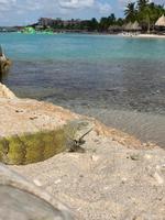 Bon bini auf Curacao!