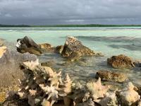 Romantische Strände von Bonaire