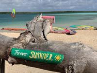 Romantische Strände von Bonaire