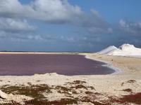 Salzsalinen auf Bonaire