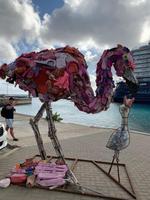 Besondere Flamingos auf Bonaire