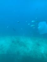 Ausblick vom Glasbodenboot