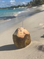 Eine letzte Kokosnuss am Strand schlürfen ...