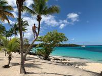 Isla Catalina - ein karibischer Traum