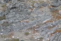 Atlantik Küste Curacao (4)