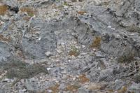 Atlantik Küste Curacao (5)