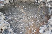 Atlantik Küste Curacao (9)