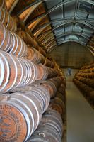 Clement Rum Destille (3)