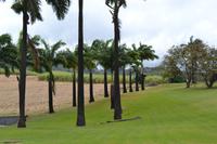 Clement Rum Destille (7)