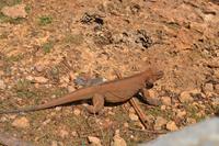 Cueva de las Maravillas (1)