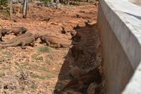 Cueva de las Maravillas (2)