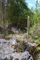 Cueva de las Maravillas