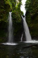 Hibiscus Wasserfall Dominica (5)