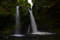 Hibiscus Wasserfall Dominica